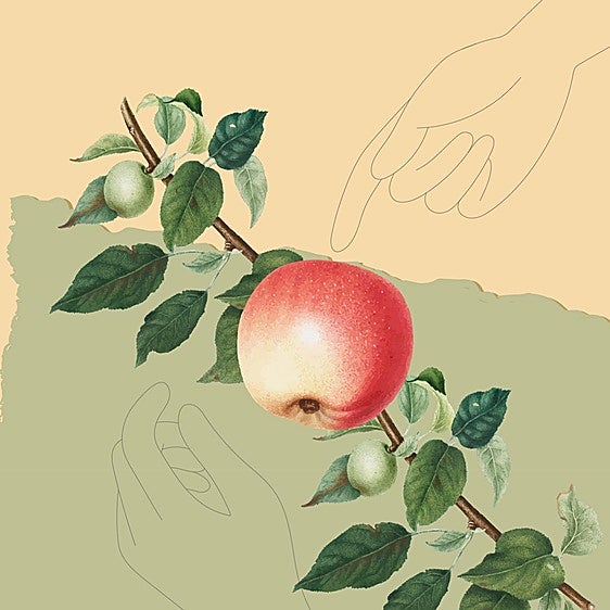 La sidra, virtud asturiana