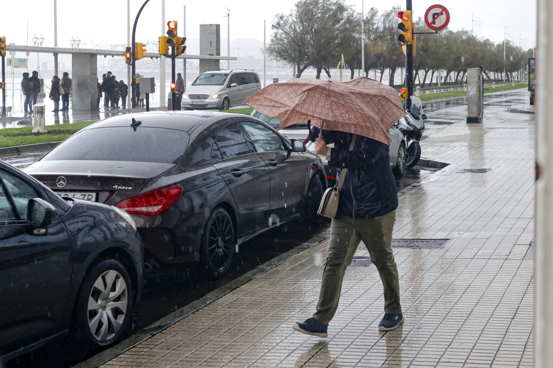 El primer temporal invernal en Asturias: nieve, fuerte viento y lluvia