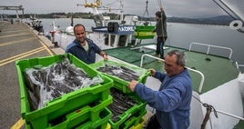 Pescadores de San Vicente de la Barquera descargan merluza de su barco.