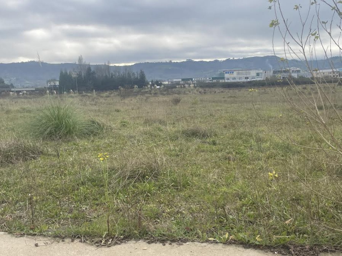 Parcela, dentro de la tercera fase del polígono sierense de Bobes, en la que Costco querría abrir su tienda.