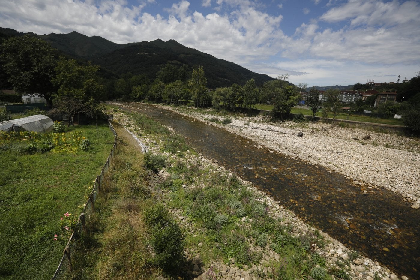 El río Nalón a su paso por La Chalana, donde puede apreciarse, entre los árboles, el muro de hormigón.