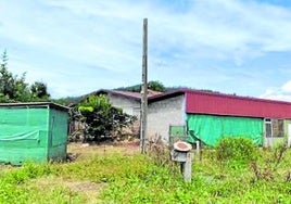 Zona en la que se prevé abrir un núcleo zoológico.