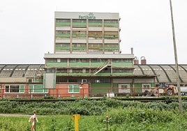 Las instalaciones de Fertiberia pueden vivir el próximo año una profunda transformación.