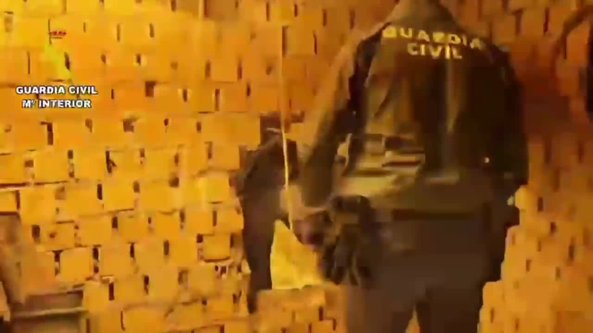 Cuatro detenidos tras desarticular la "mayor plantación indoor" de marihuana en Ávila