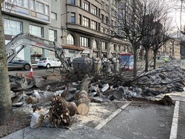 Estado de las obras del carril bici a la altura de la calle Zamora de Gijón, donde los operarios talaron ayer un árbol para desviar el vial.