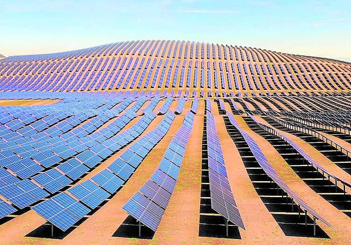 Una planta con el tipo de seguidores que se instalarán en Lérida.