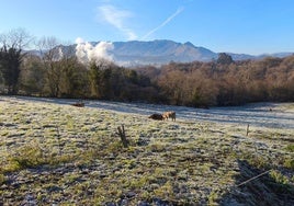 Asturias, bajo cero: el frío invernal llega a la región