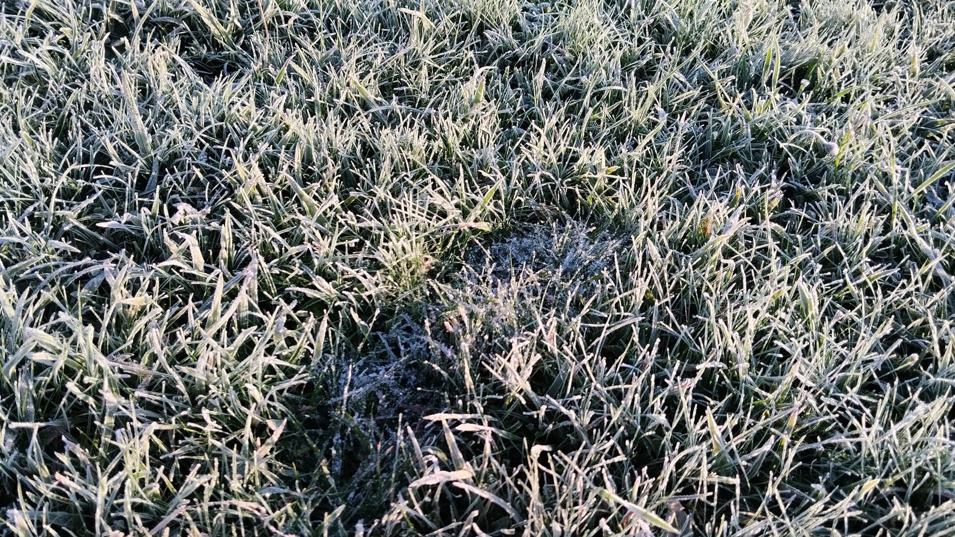 Asturias, bajo cero: el frío invernal llega a la región