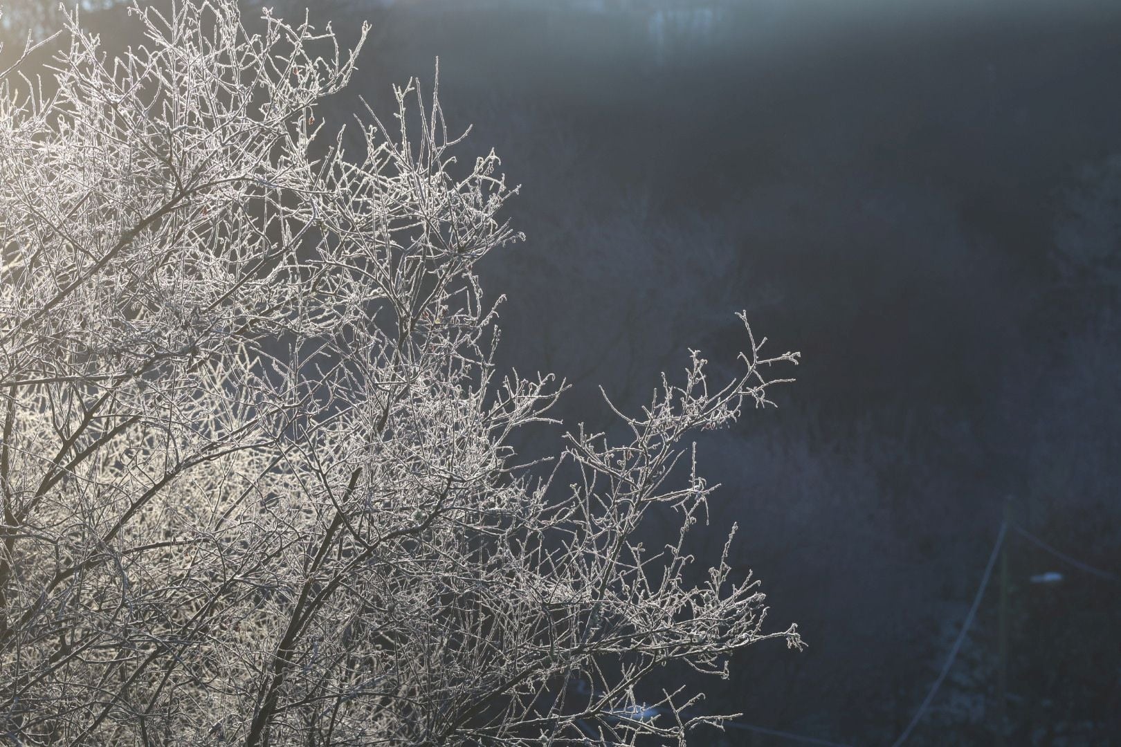 Frío en Asturias: la escarcha y temperaturas bajo cero pintan el paisaje de blanco