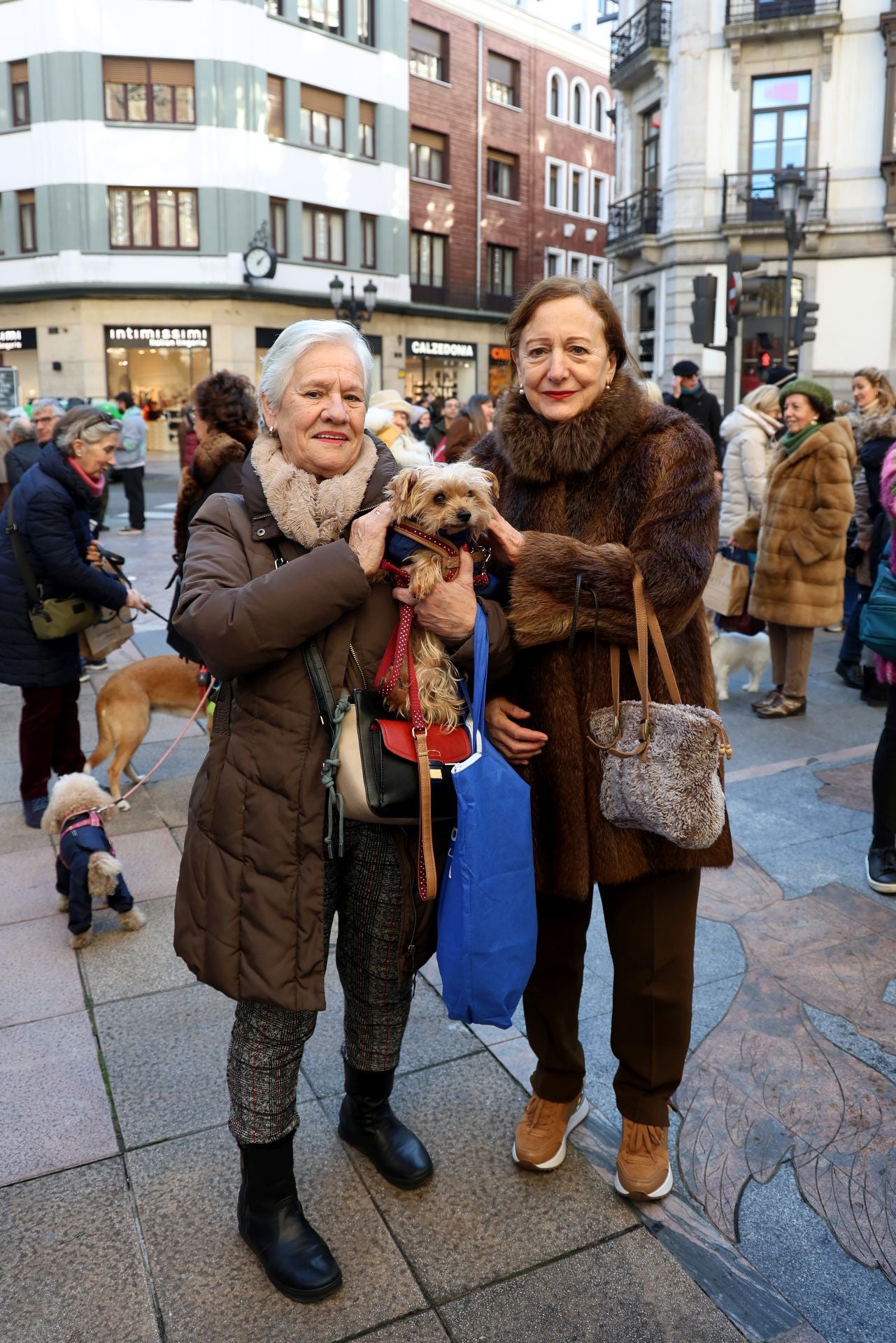 Oviedo bendice a sus mascotas por San Antón