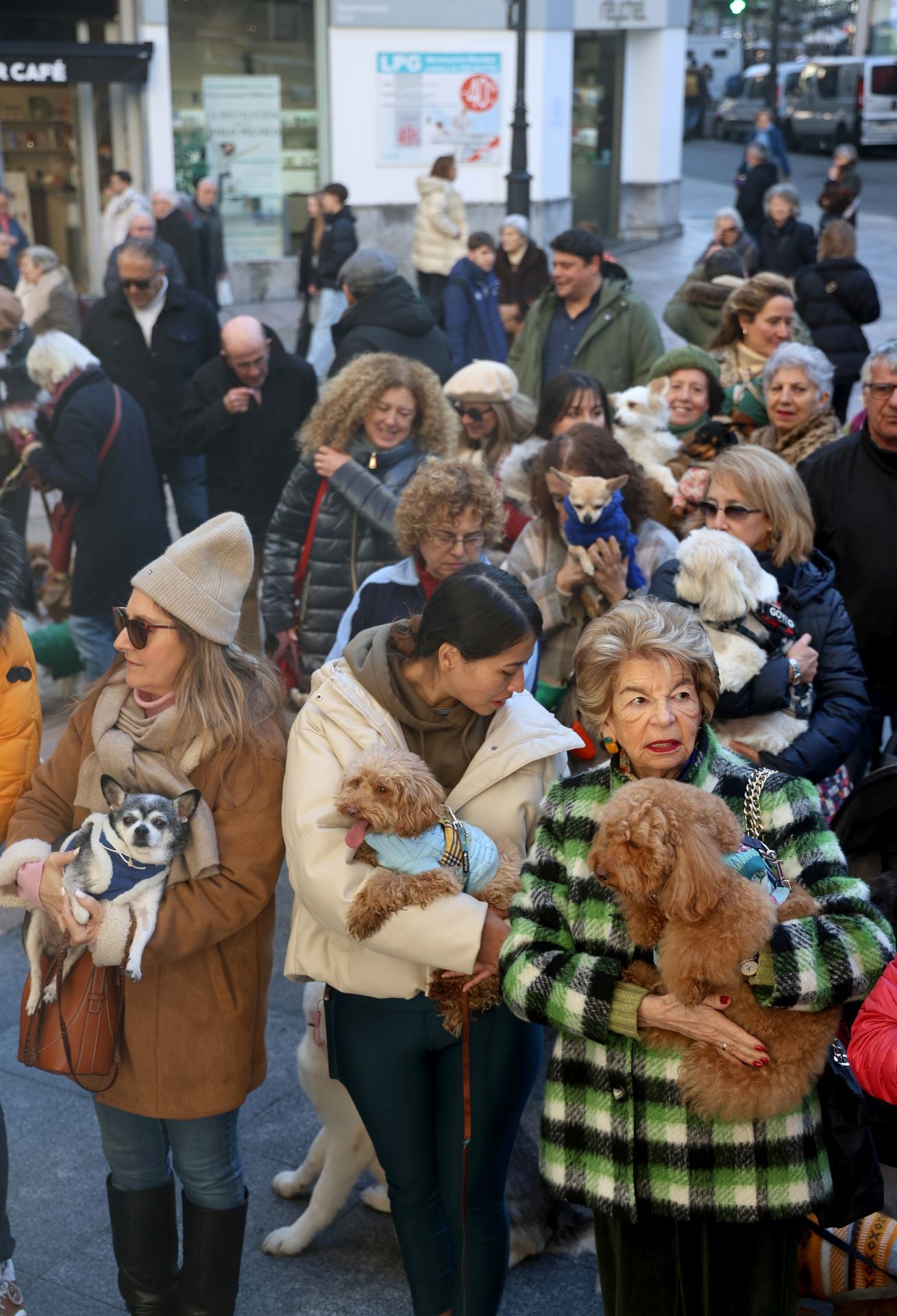 Oviedo bendice a sus mascotas por San Antón