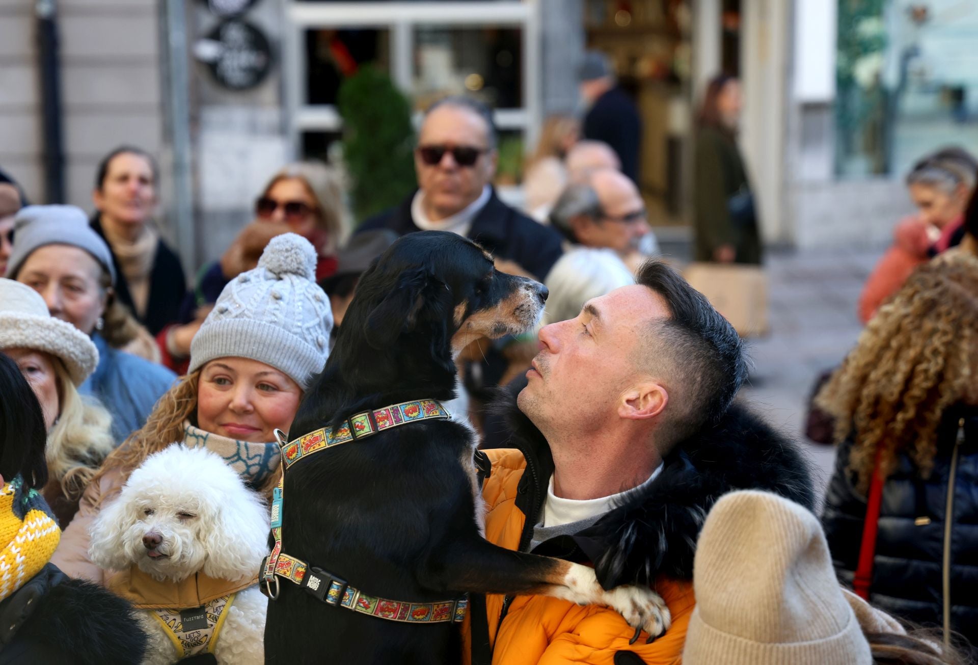 Oviedo bendice a sus mascotas por San Antón