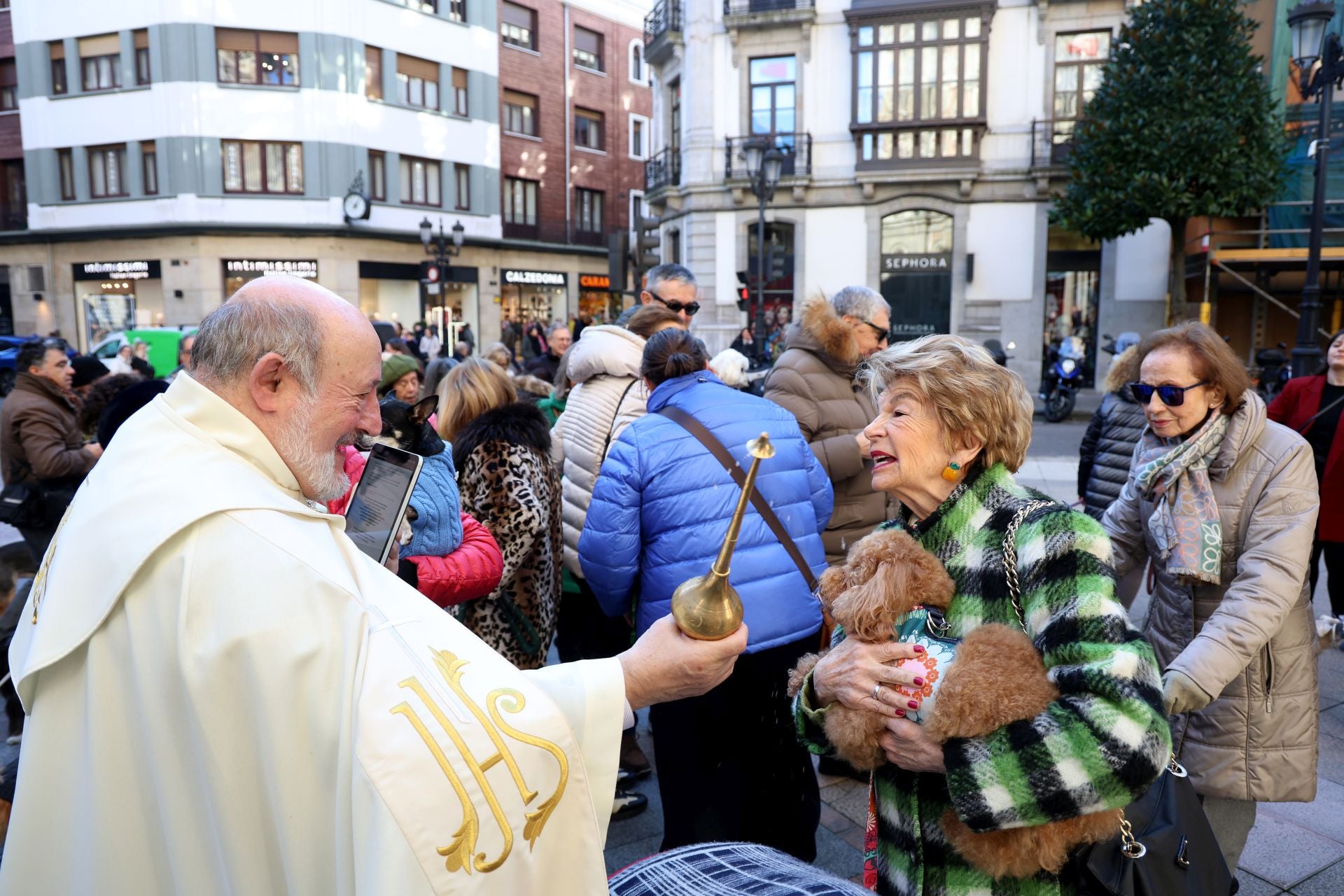 Oviedo bendice a sus mascotas por San Antón