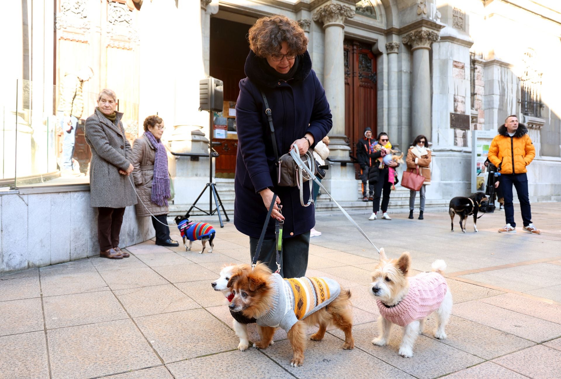 Oviedo bendice a sus mascotas por San Antón