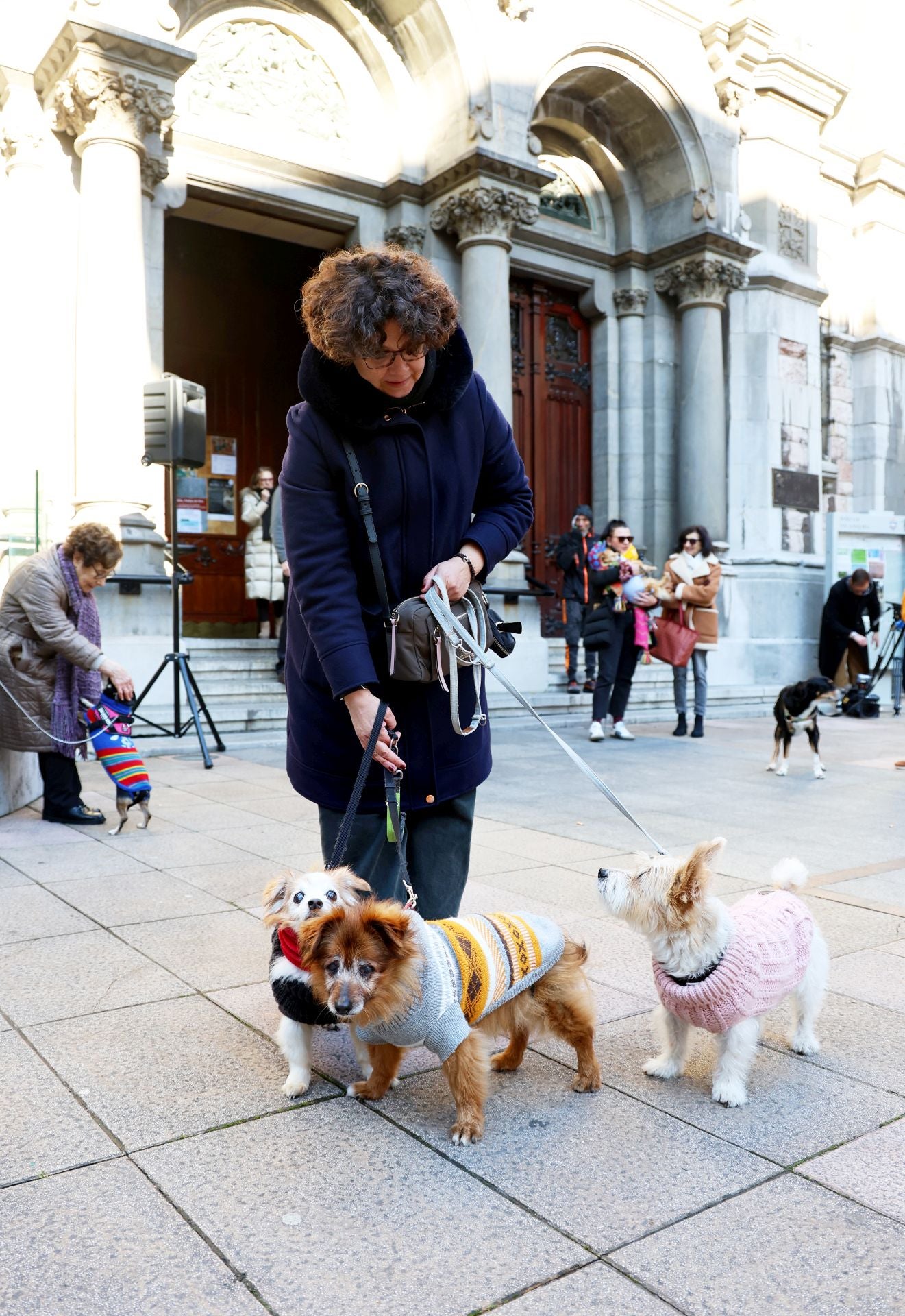 Oviedo bendice a sus mascotas por San Antón