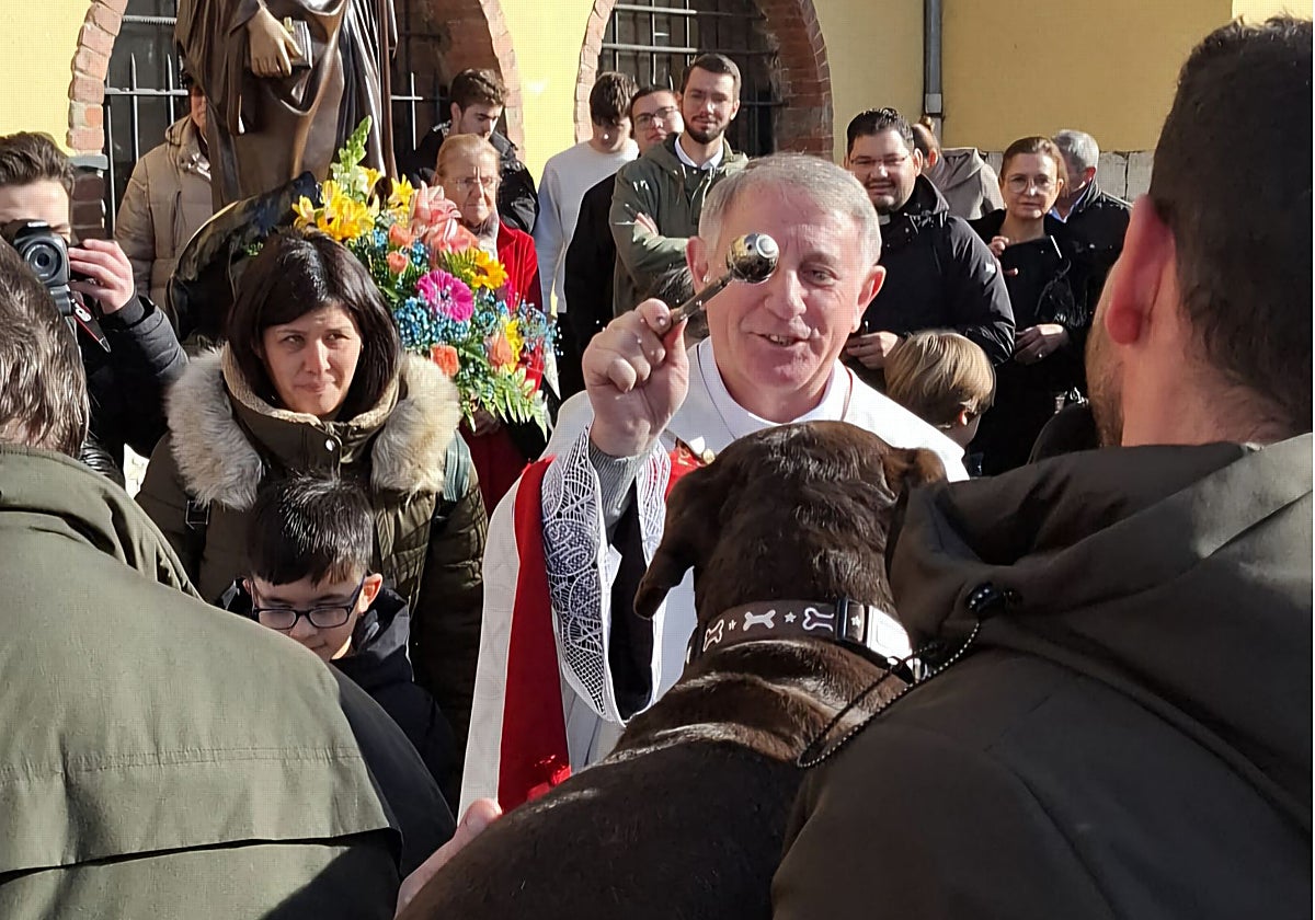 El párroco de la Iglesia San Félix de Lugones bendice a los animales.