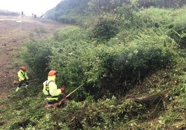 Trabajadores del taller para mejorar los espacios forestales en Villaviciosa.