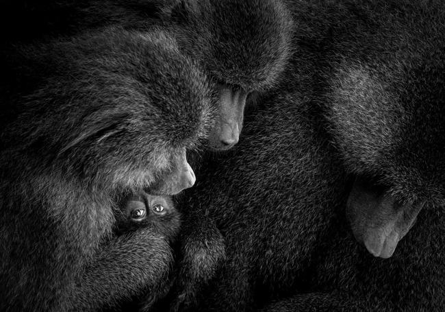 Fotografía de Héctor Herrería.