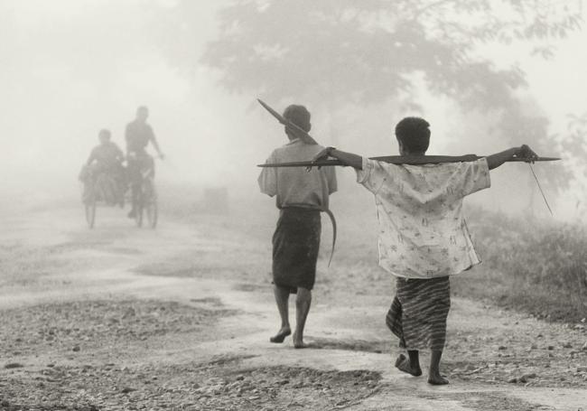 Fotografía de Rafer.