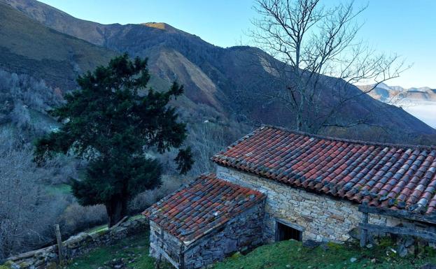 La tranquilidad montuna, el bosque y las buenas vistas son la tónica en esta preciosa caminata por Piloña