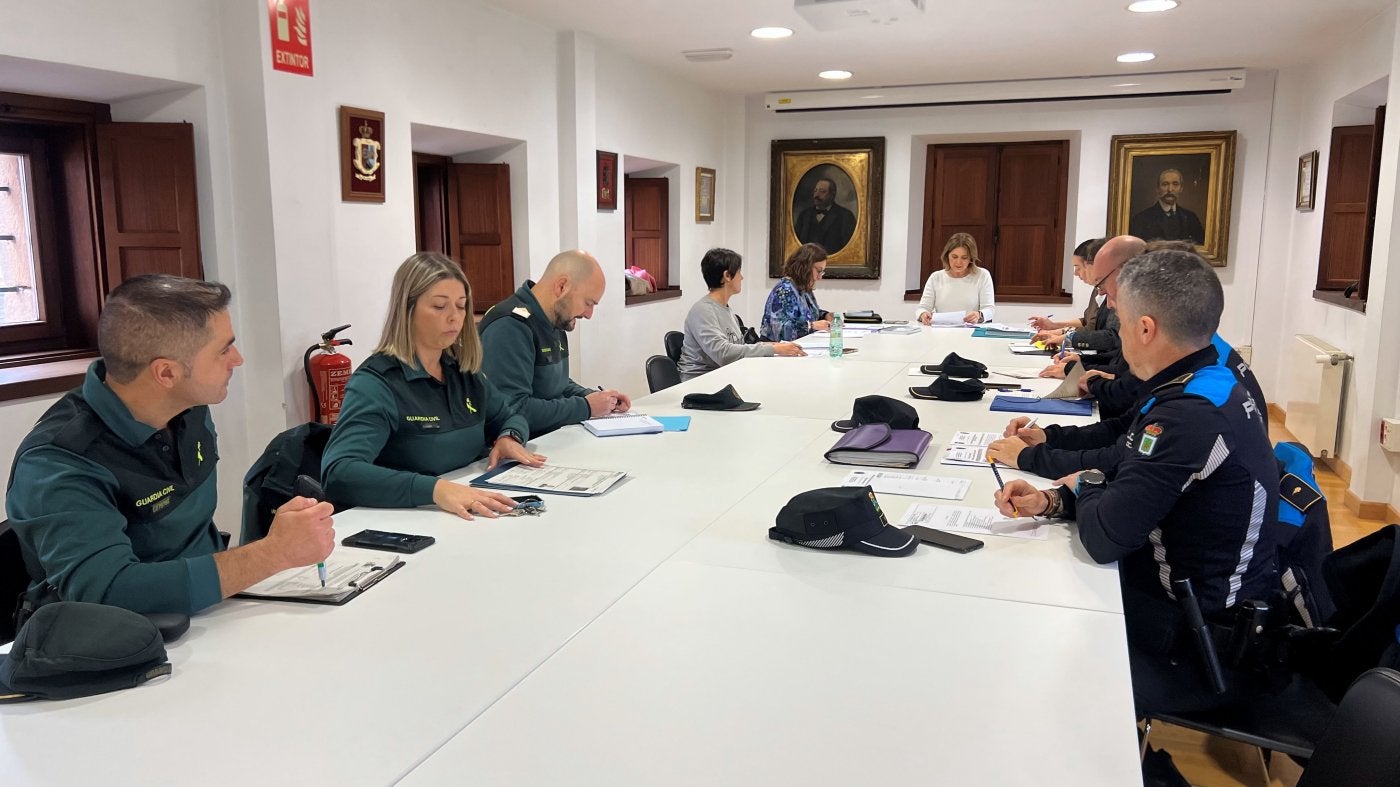 Comisión Mixta de Violencia de Género de Siero y Noreña.