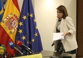 La delegada del Gobierno en Asturias, esta mañana, antes de su comparecencia.