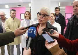 Vídeo: la consejera de Salud explica la paralización de las obras del Hospital de Cabueñes