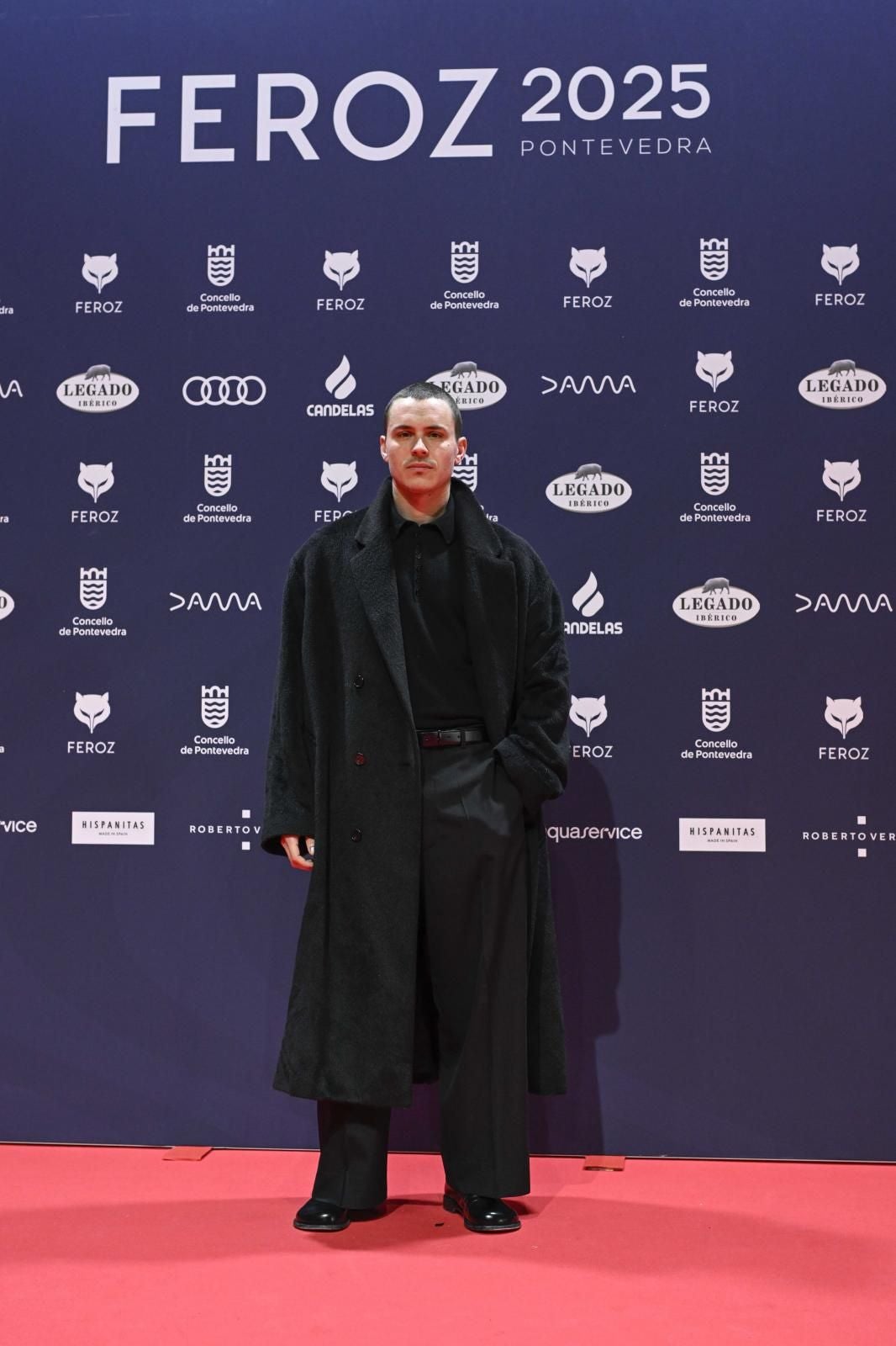 Todos los &#039;looks&#039; de los premios Feroz 2025