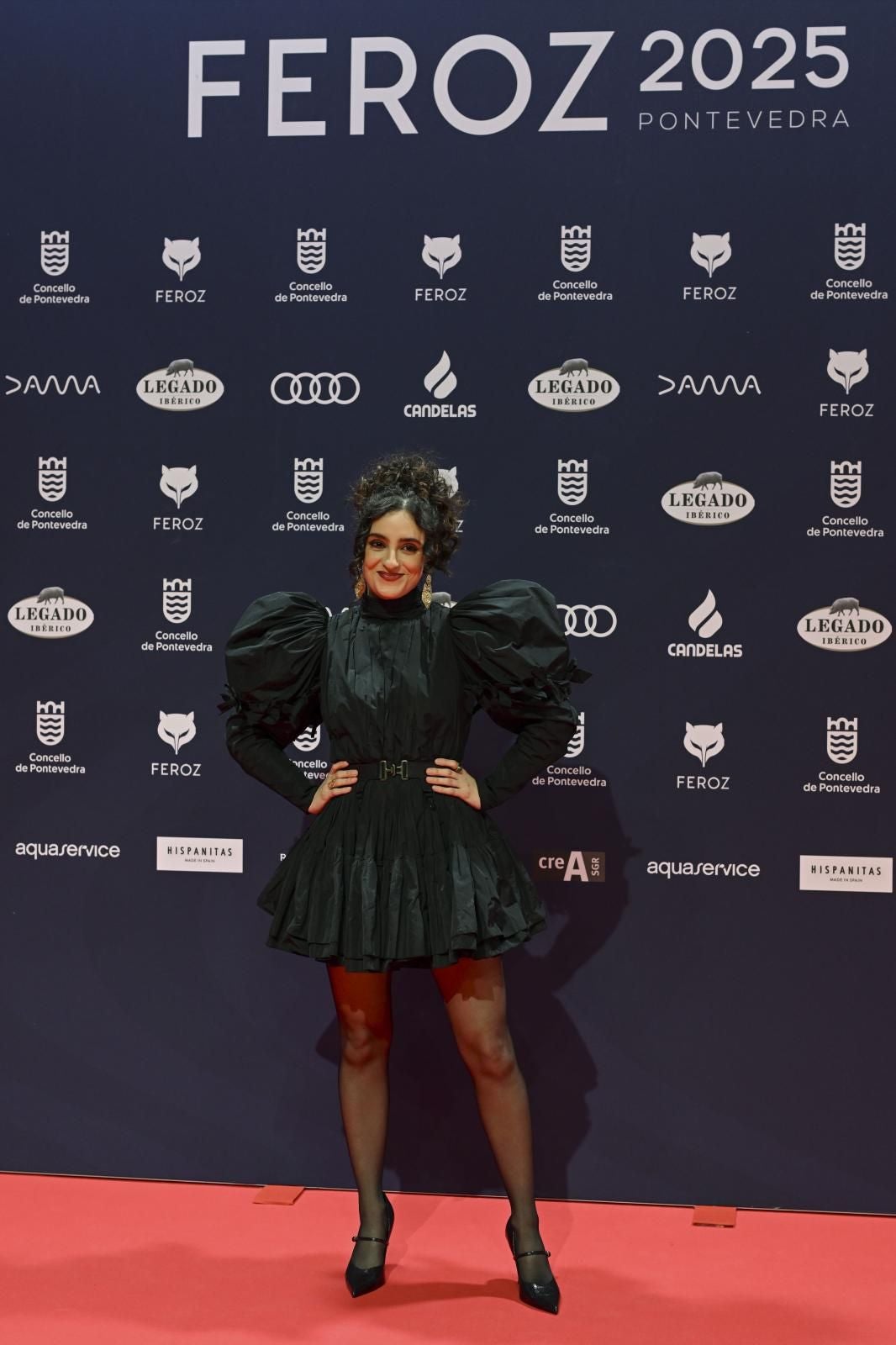 Todos los &#039;looks&#039; de los premios Feroz 2025