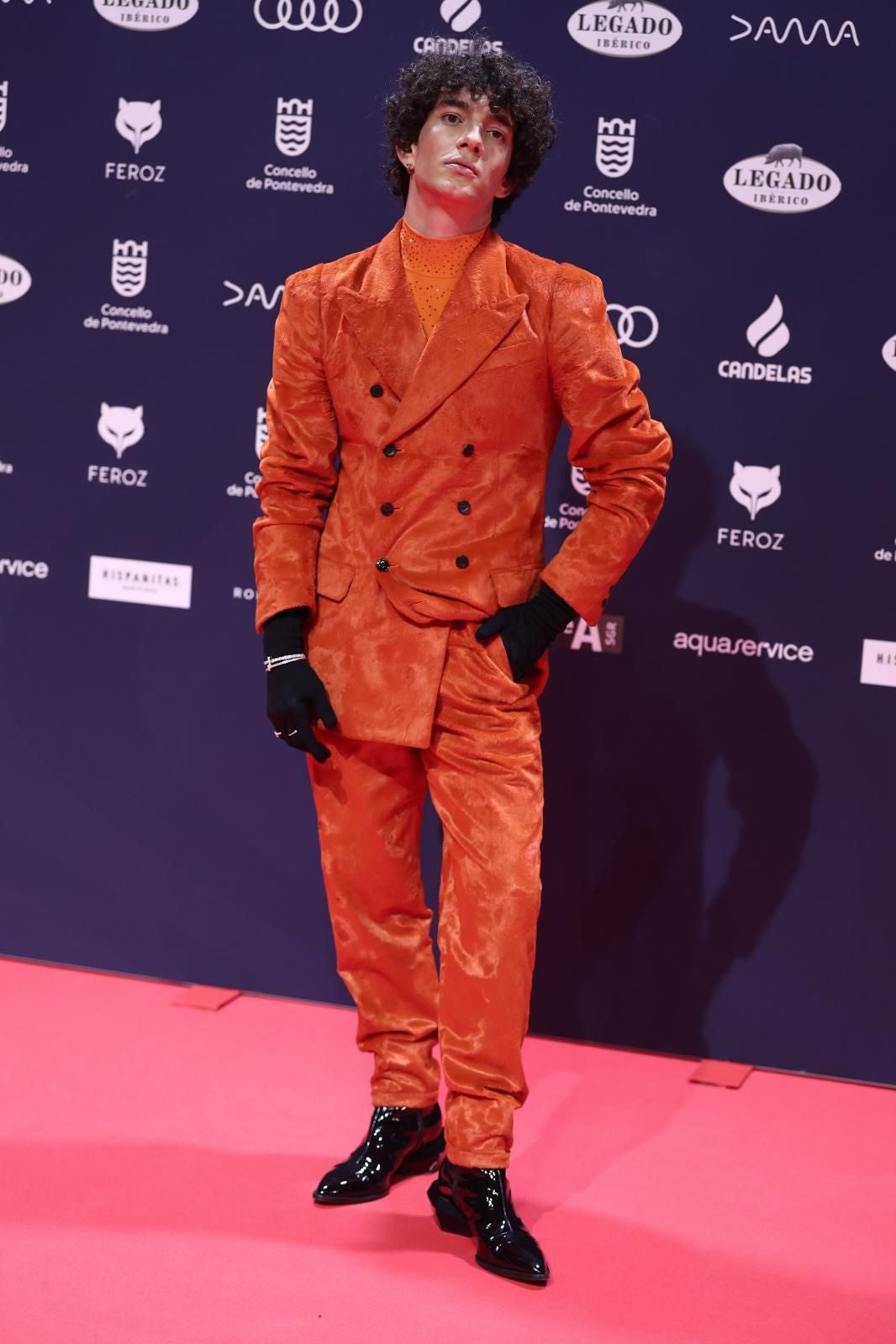 Todos los &#039;looks&#039; de los premios Feroz 2025