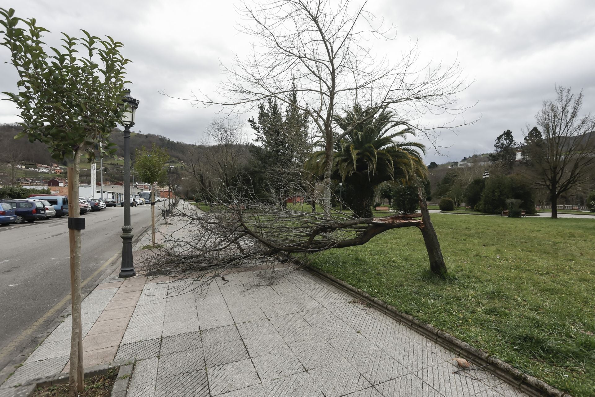 Asturias sufre las inclemencias de &#039;Herminia&#039;