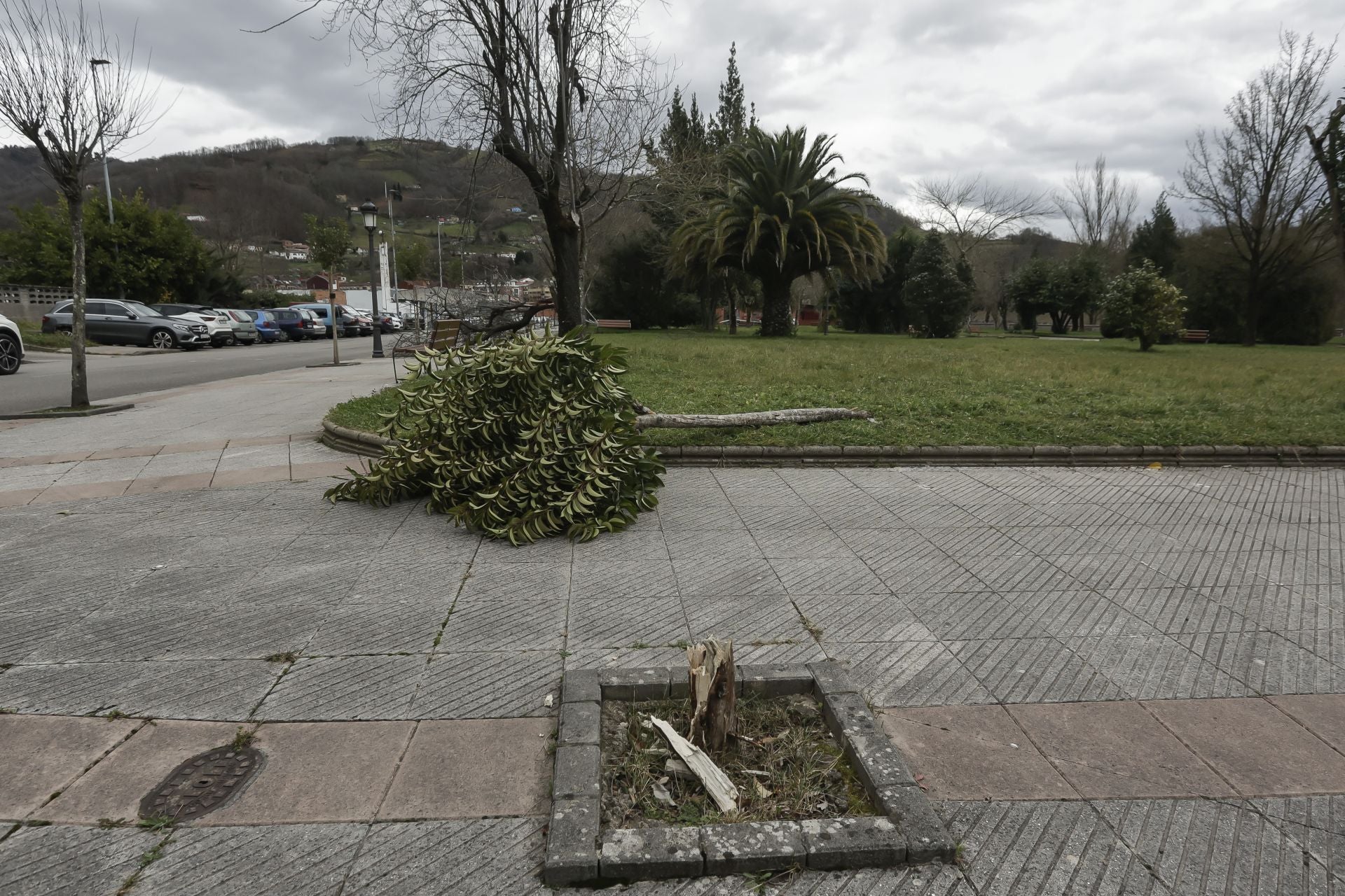Asturias sufre las inclemencias de &#039;Herminia&#039;