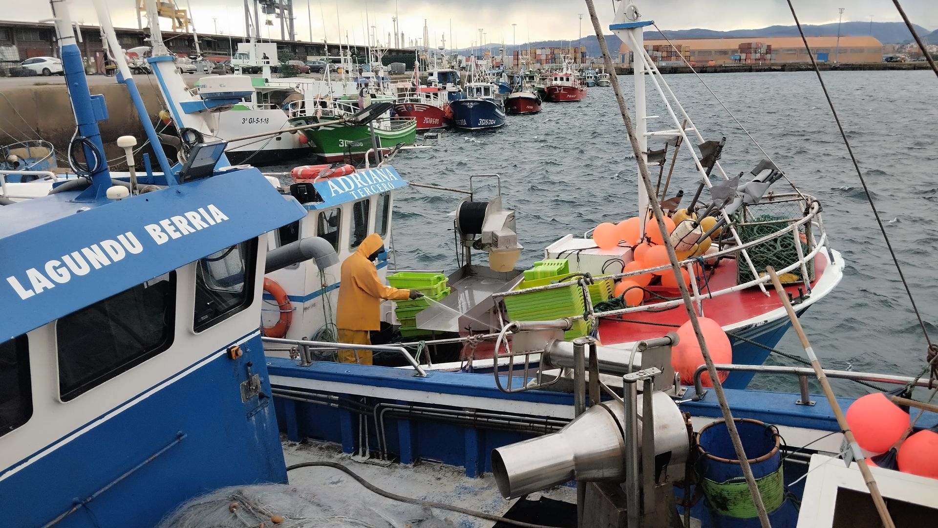 La borrasca &#039;Herminia&#039; golpea Asturias: los efectos del fuerte viento