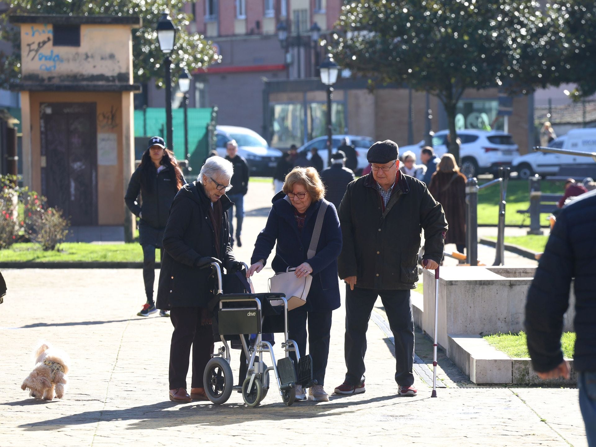 Asturias exhibe una estampa de contrastes: frío, nieve, heladas y sol