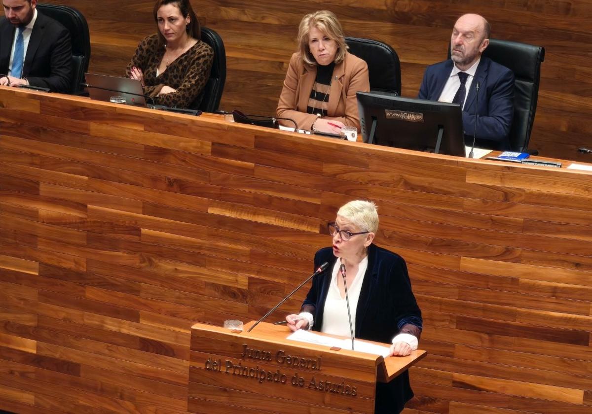 La consejera de Salud de Asturias, Concepción Saavedra, ayer, en la Junta General.