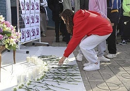 Clamor entre los niños de Langreo contra el crimen de Karilenia