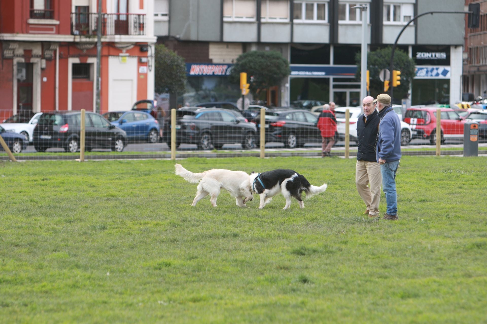 Los perros ya disfrutan dentro del vallado en parque en el Solarón