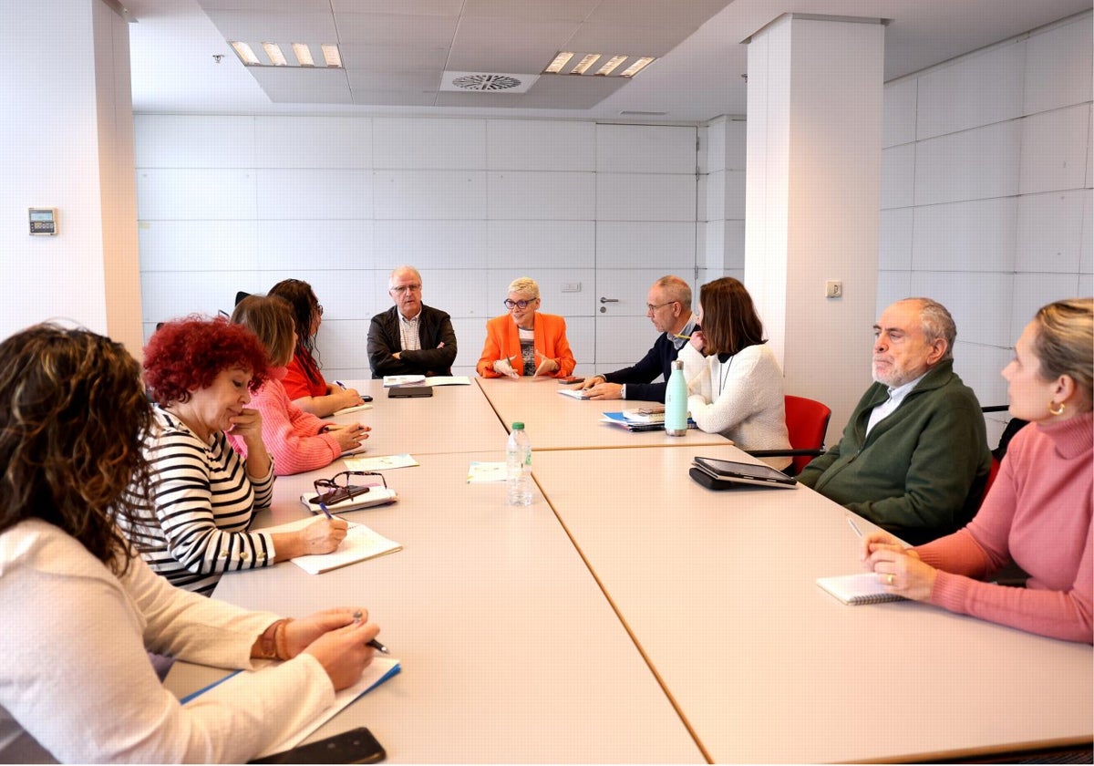 La consejera de Salud, Concepción Saavedra, en su reunión de ayer sobre salud mental.