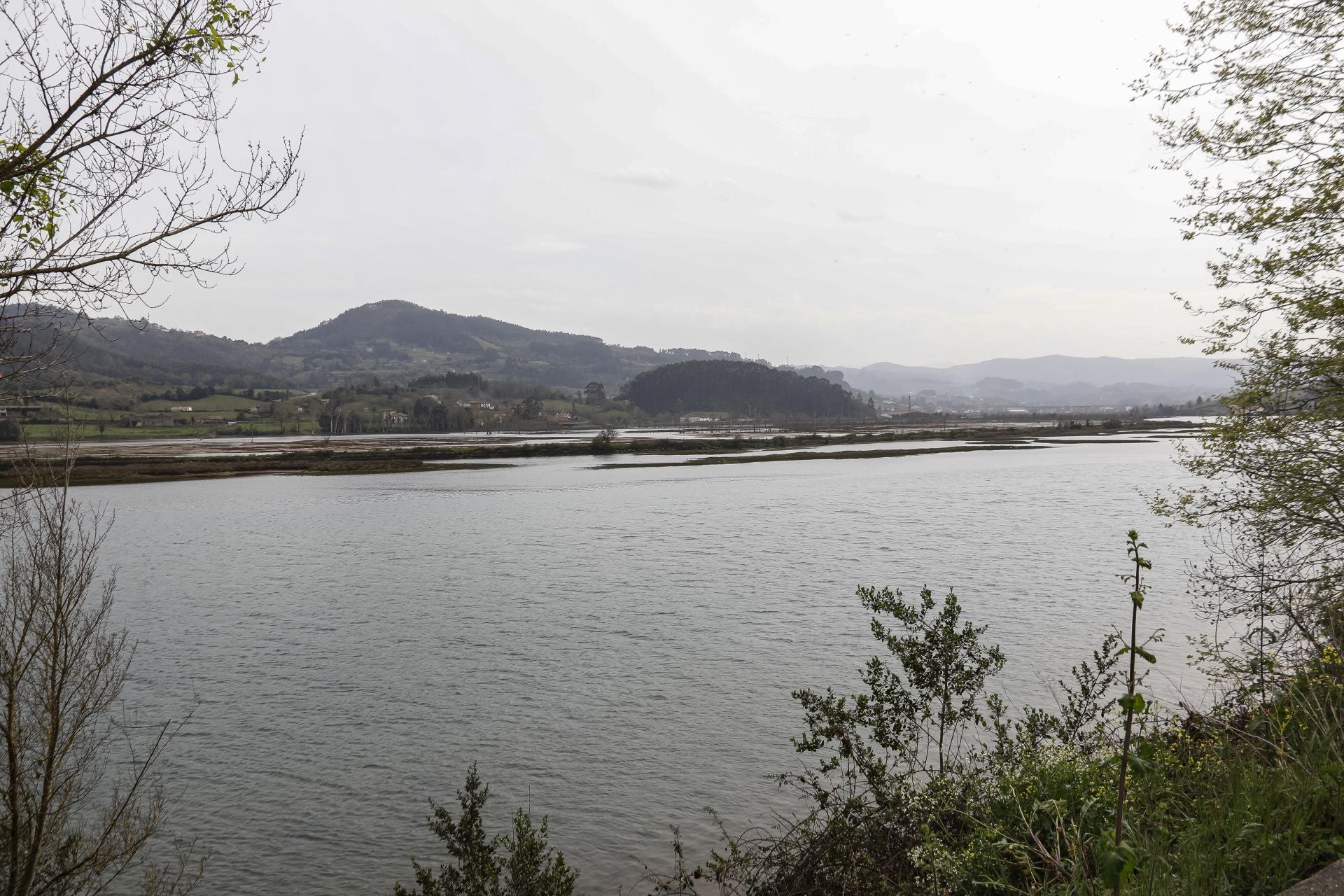 Ría de Villaviciosa.