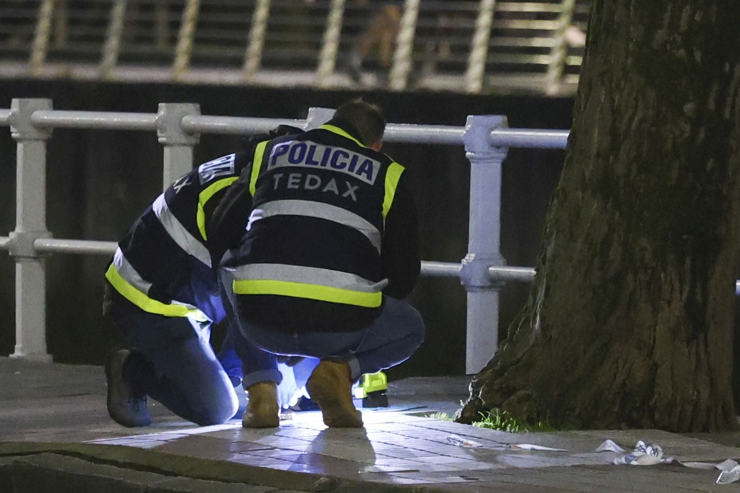 Falsa alarma en Gijón: la intervención de los Tedax, en imágenes