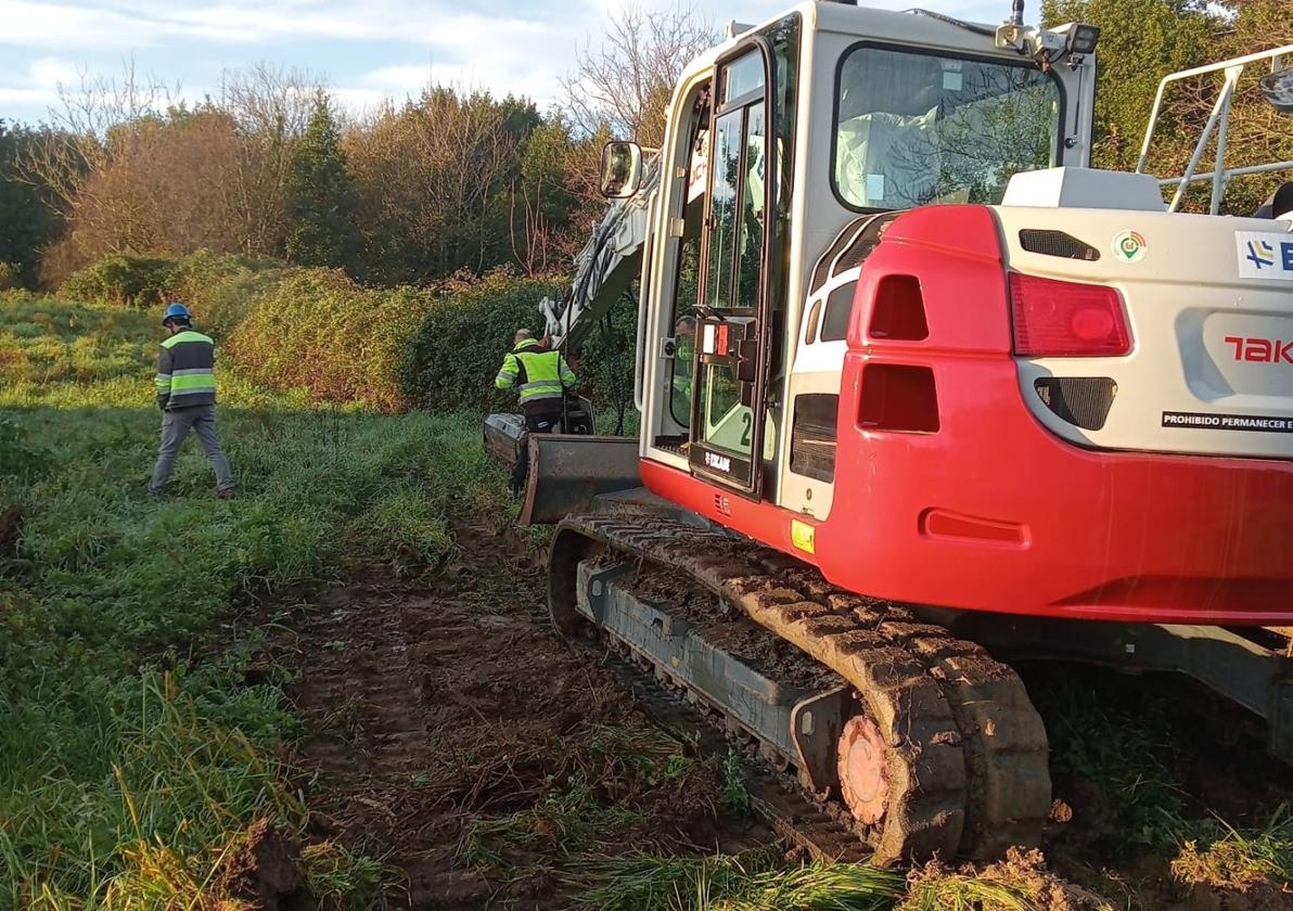 Primeros trabajos de desbroce en los terrenos de ampliación del parque tecnológico de Gijón en la Pecuaria.