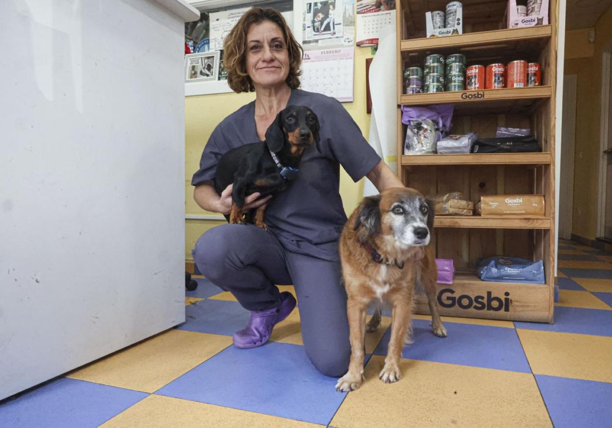 La presidenta de Aemvet, en su clínica veterinaria, en Avilés.