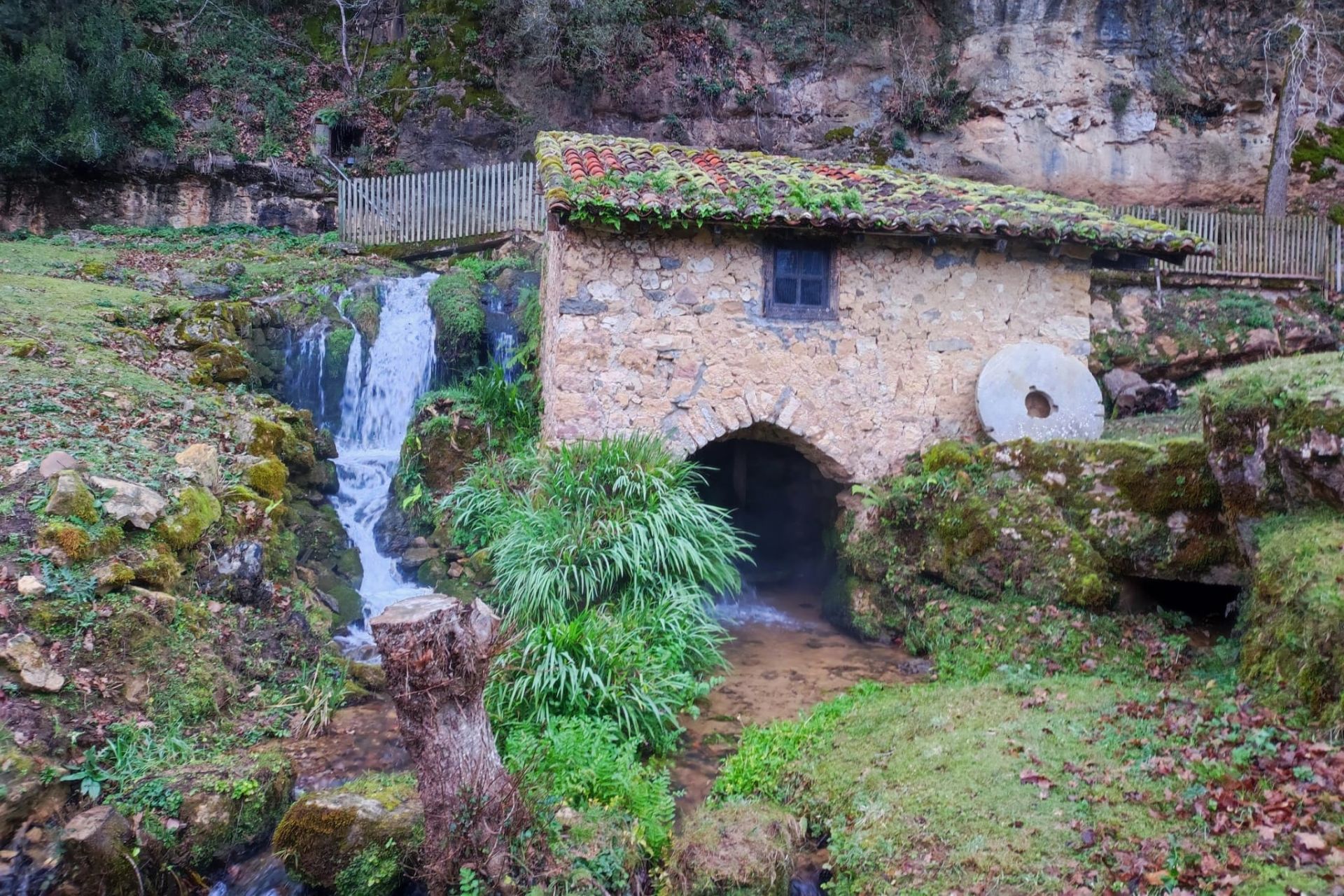 El ambiente de la senda desde Cangas de Onís a Villanueva es de ribera, tranquilo y sencillo se seguir, bien adornado por cantos de aves y otros detalles muy bellos como este molino