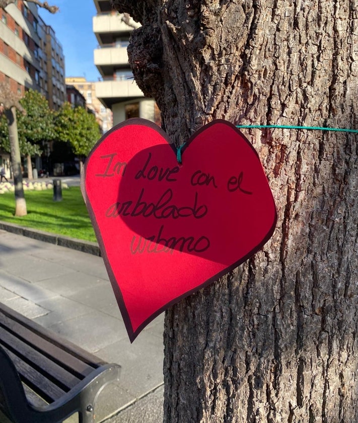 Imagen secundaria 2 - Arriba, el tocón de castaño talado hace meses. Abajo, uno de los mensajes de amor.