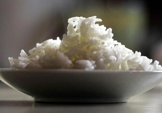 Plato de arroz blanco
