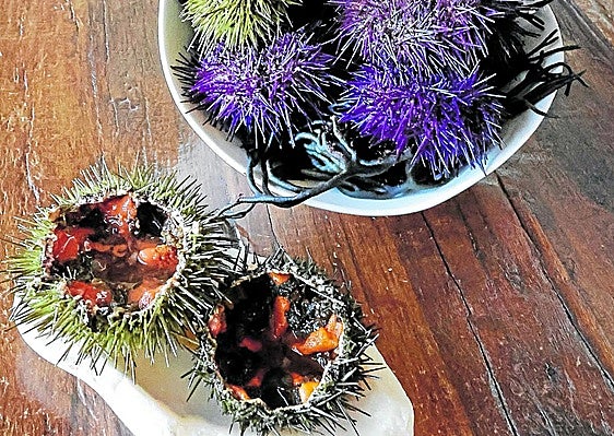 Las múltiples posibilidades de los oricios