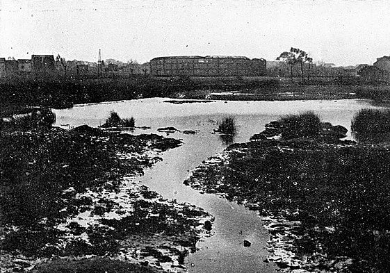 Antigua charca del Piles.