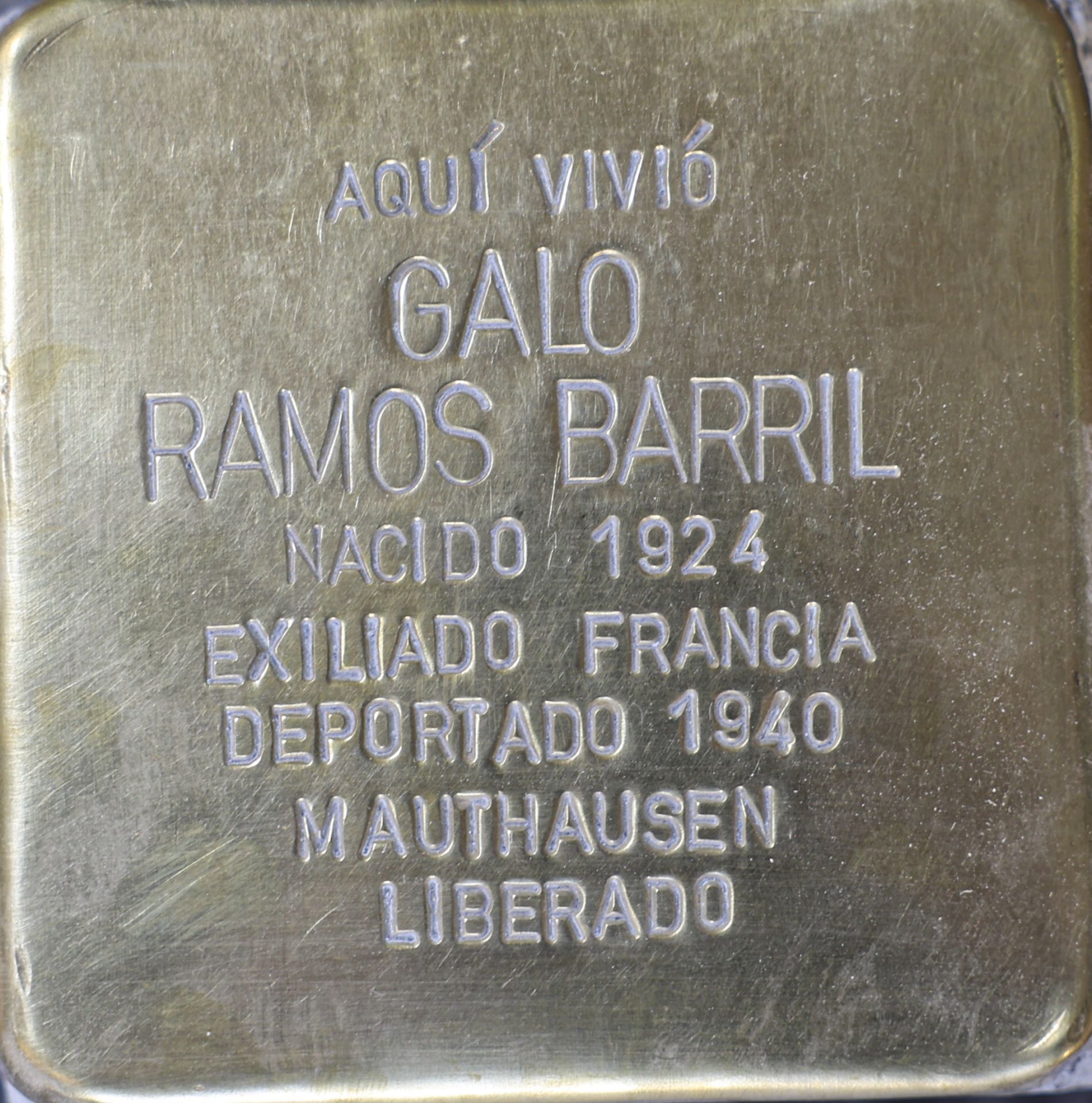Galo Ramos Barril 
