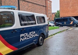 Varios furgones de la Policía Nacional durante un operativo en Avilés.
