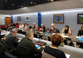 Reunión que la consejera Concepción Saavedra celebró con el Foro de la Salud Mental.